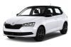SKODA FABIA III. (NJ) 3D COVOR DE CAUCIUC (2014-2021)
