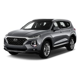 HYUNDAI SANTA FE (TM) 3D COVOR DE CAUCIUC (2018-2021)