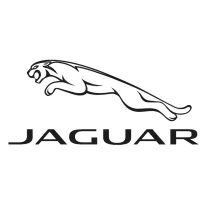 JAGUAR TETŐCSOMAGTARTÓ