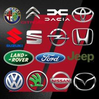 CĂUTARE DUPĂ TIP AUTO